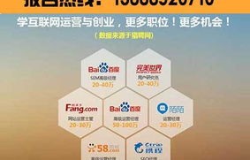电子商务能招哪些专业的