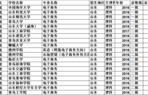 电子商务专业山东省排名