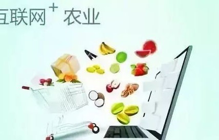 农村电子商务专业课笔记