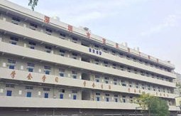 民航电子商务专业怎么样