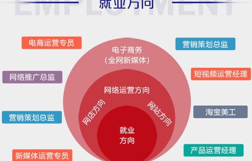 有哪些是电子商务专业的