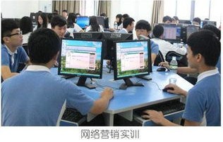 电子商务学的专业课
