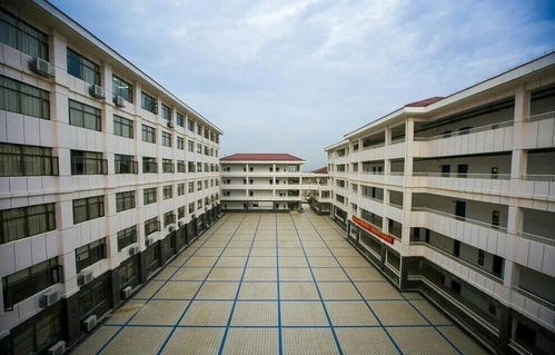 新余电子商务专业学校
