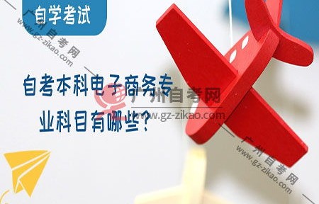 自考电子商务专业资格证