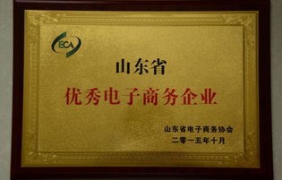专业型电子商务企业名称