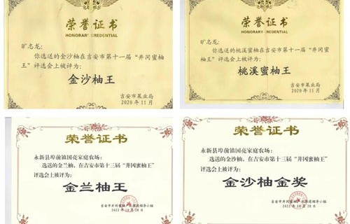 江西本科电子商务专业考公