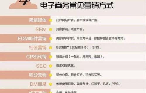 电子商务专业的文化知识
