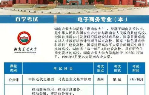 电子商务专业能考银行吗