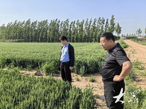 让更多“丰收在望”变成“丰收到手”