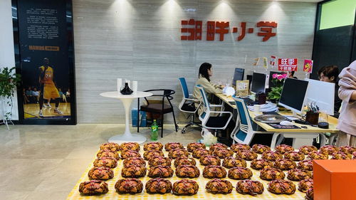 电子商务专业有多不好学