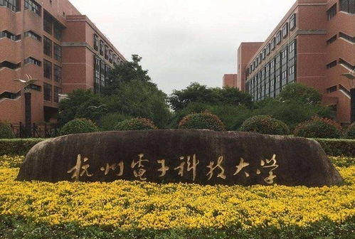 杭电有电子商务专业吗