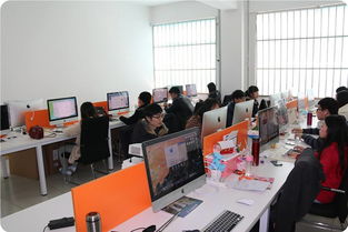 为什么要选电子商务专业