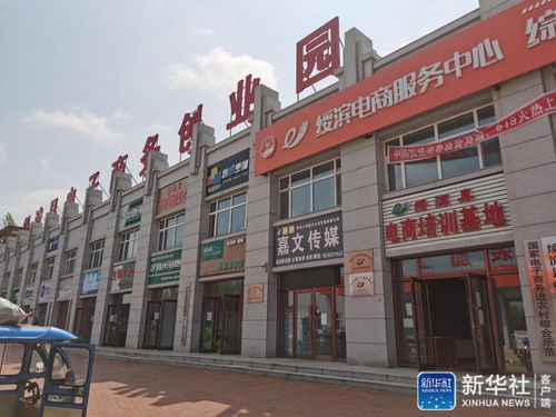 东阳市专业电子商务街