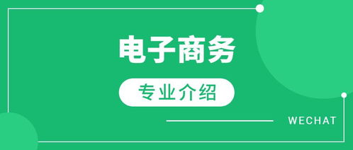 电子商务类怎样选专业好