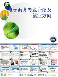 电子商务师包括哪些专业
