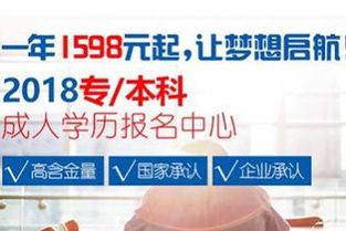 电子商务专业升本怎么选