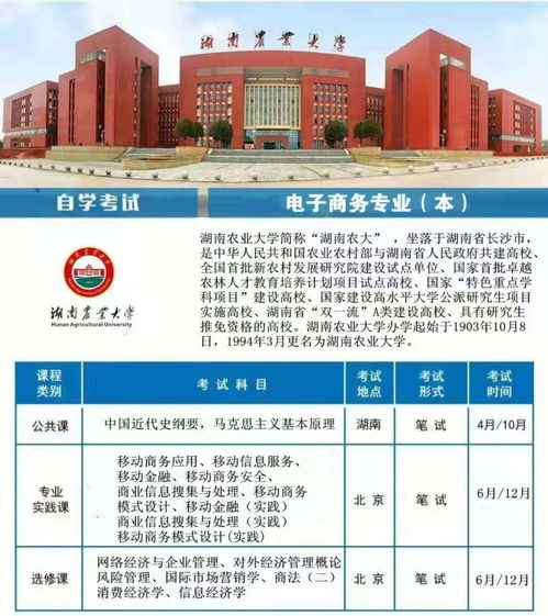 电子商务专业能升大专吗