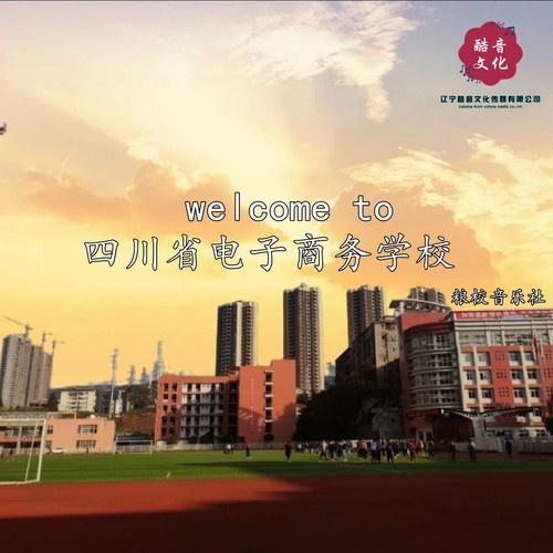 四川电子商务专业高校