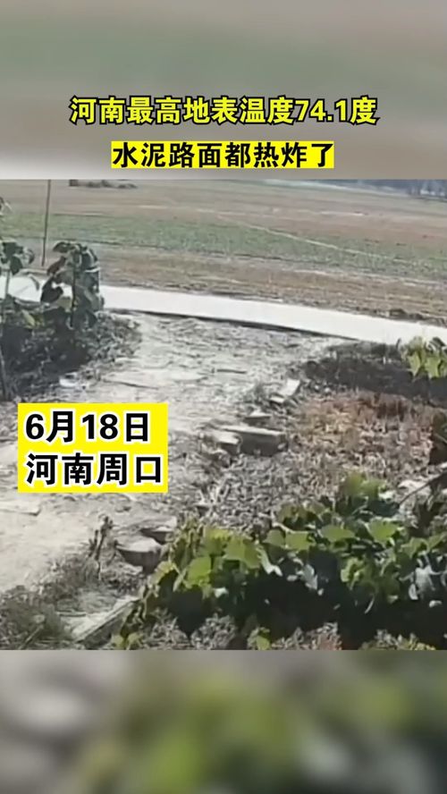 河南一水泥路面热“炸”了