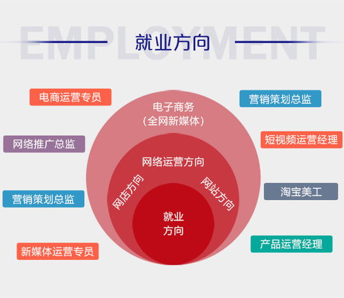 电子商务专业都学什么有前途
